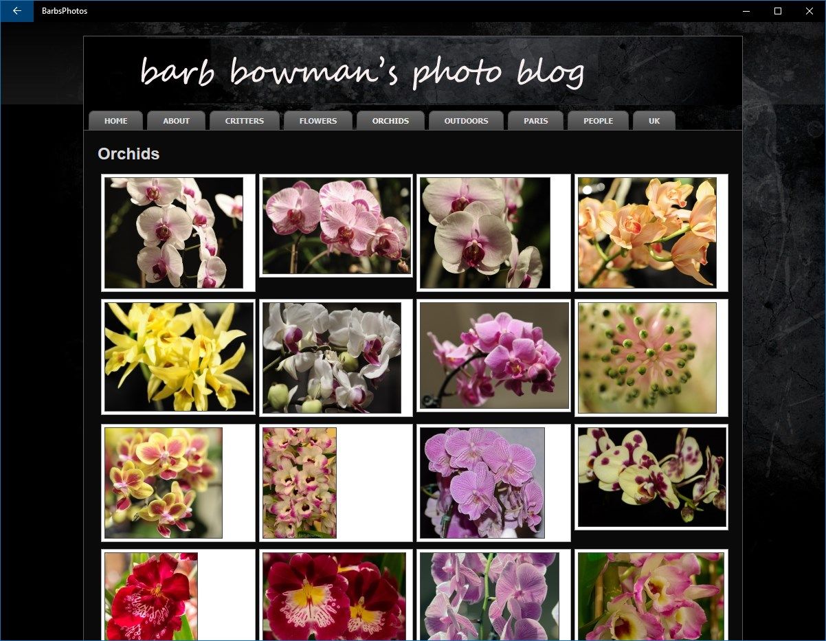 Barb Bowmans Photo Blog