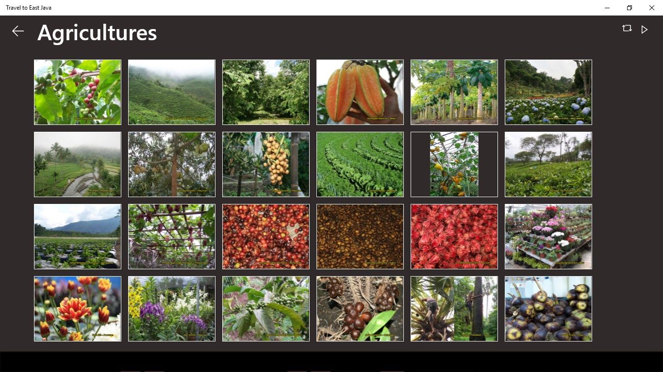 This application, also available with agricultures menu, that shows many kind of flowers and plantations.