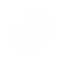 Magic Fractals