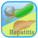 MicroQuiz - Hepatitis