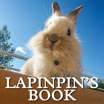 Lapinpin's Book