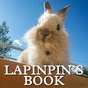 Lapinpin's Book
