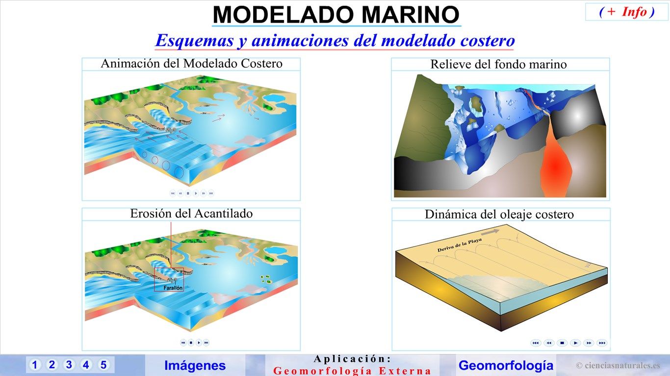 Panel de Animaciones del modelado marino o costero (flash)
