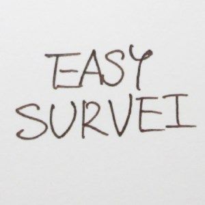 EasySurvei