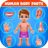 Human Body Parts - Preschool Kids Learning