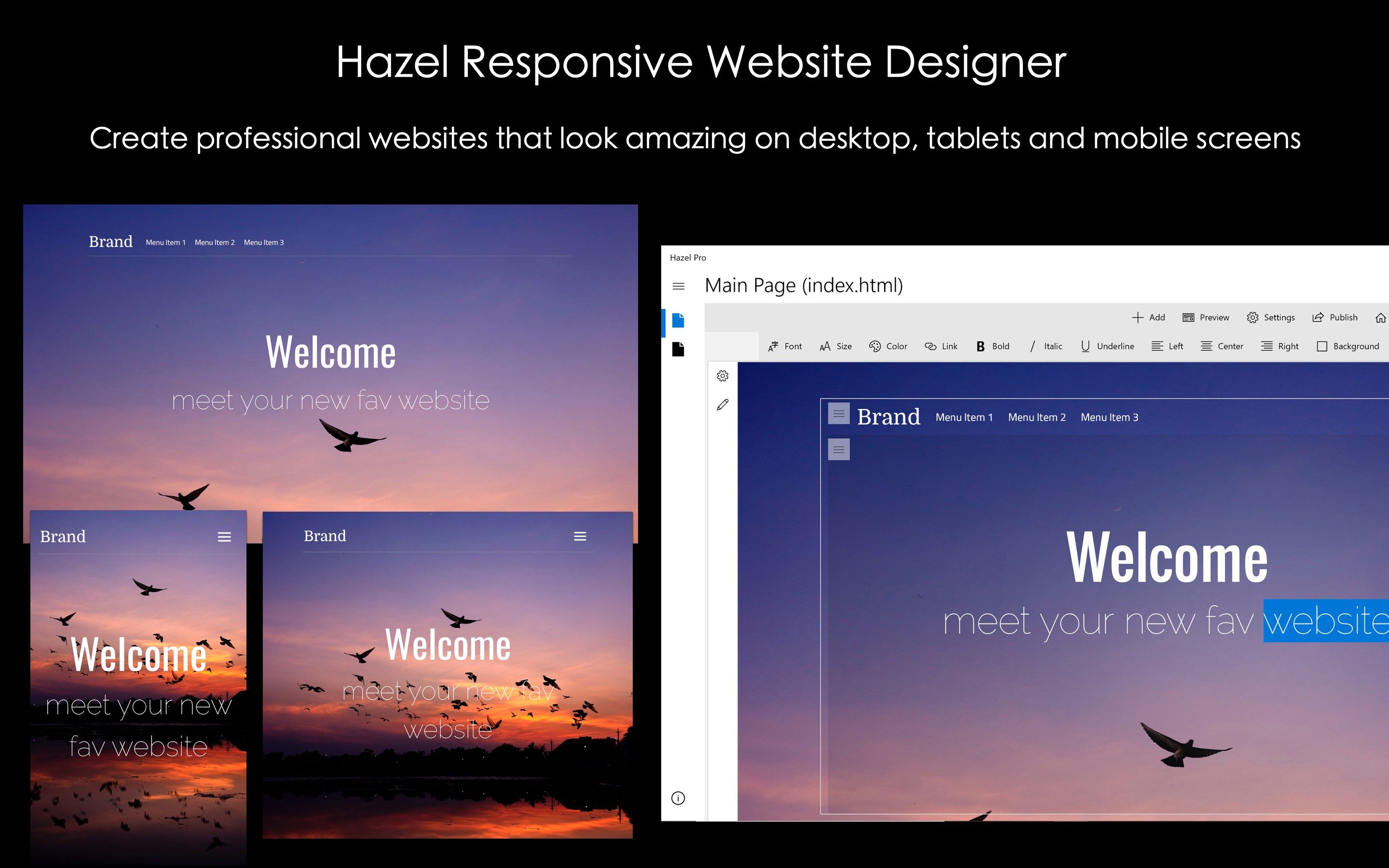 Visual Web Designer - Hazel Pro