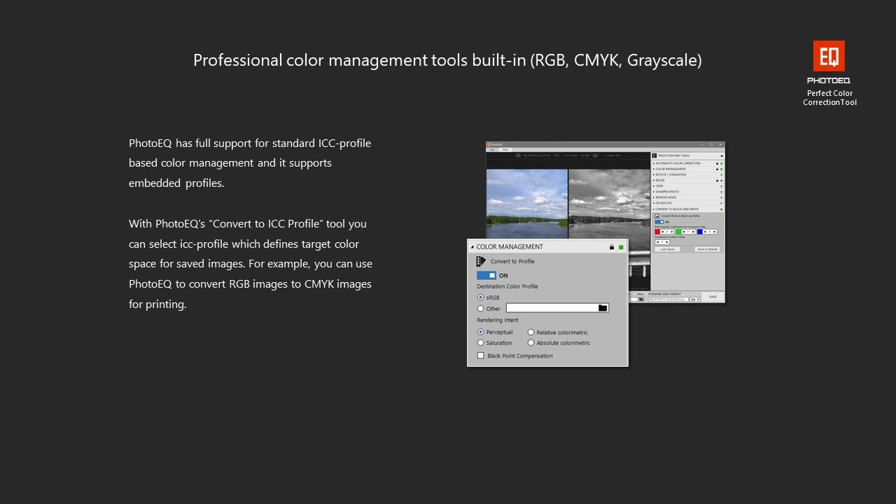 Professional color management tools built-in (RGB, CMYK, Grayscale)