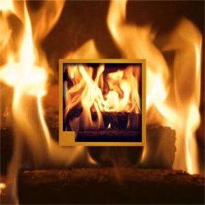 Burning wood Fireplace