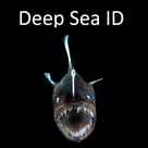Deep Sea ID