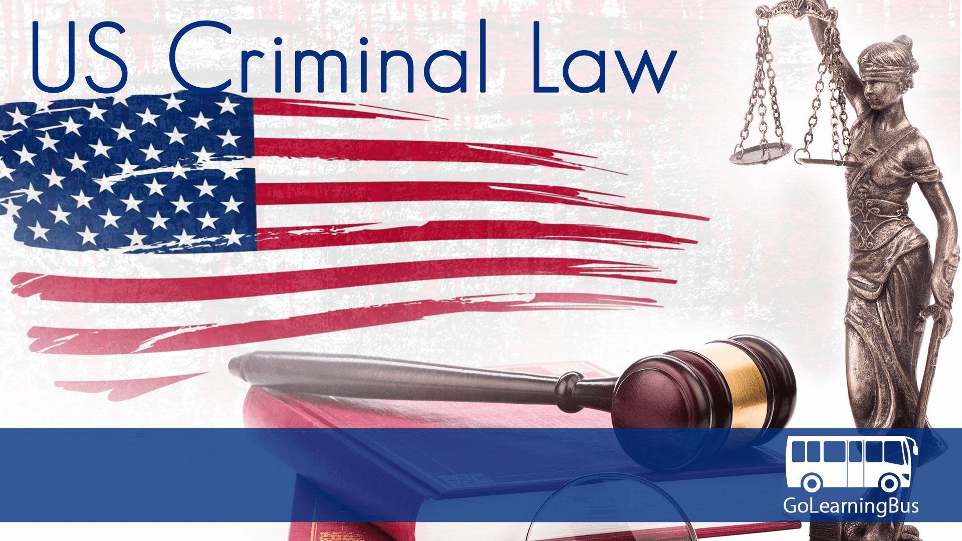 US Criminal Law by WAGmob