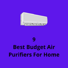 9 Best Budget Air Purifiers For Home