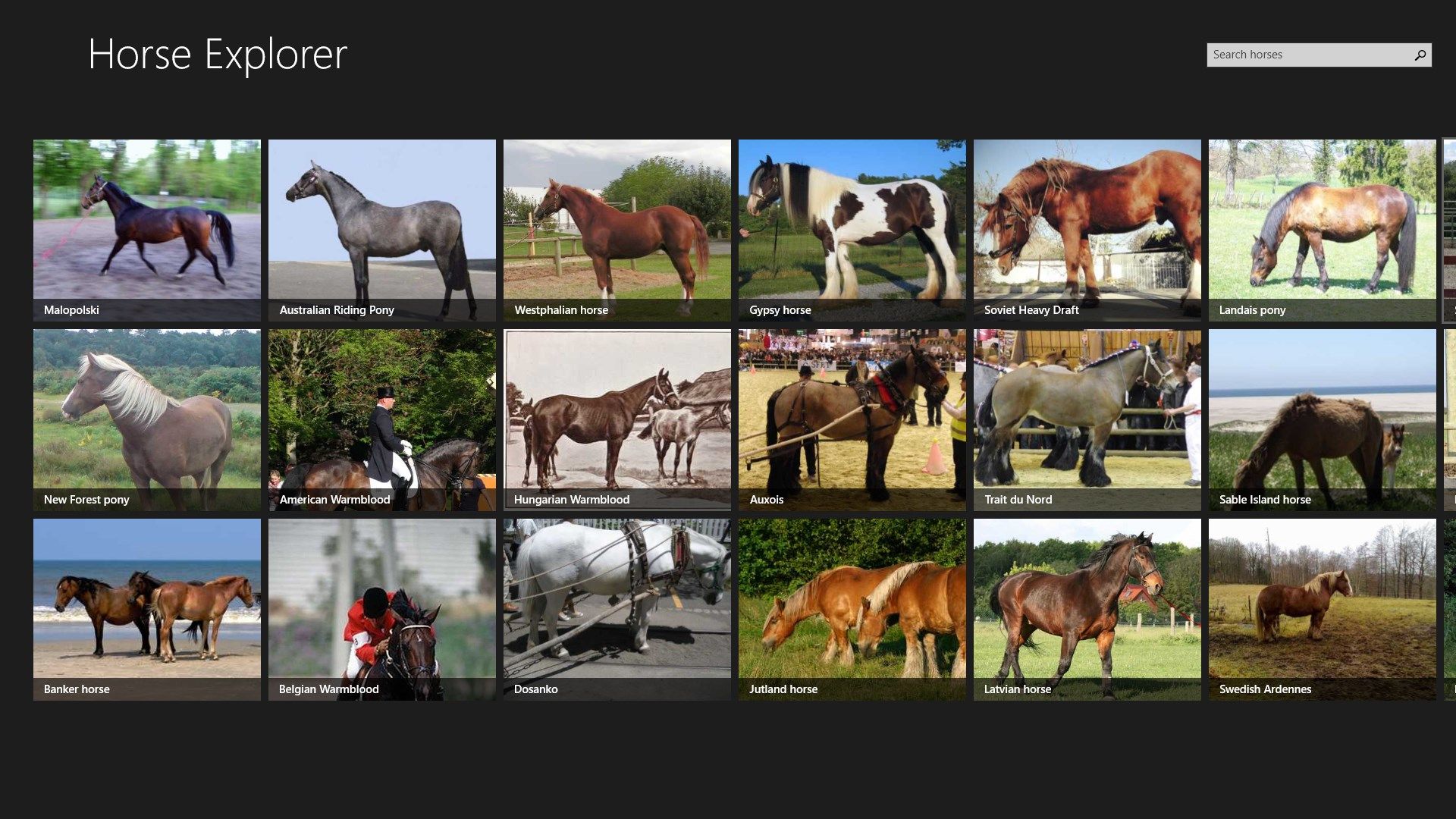 A quick and handy reference for looking up horses and ponies!