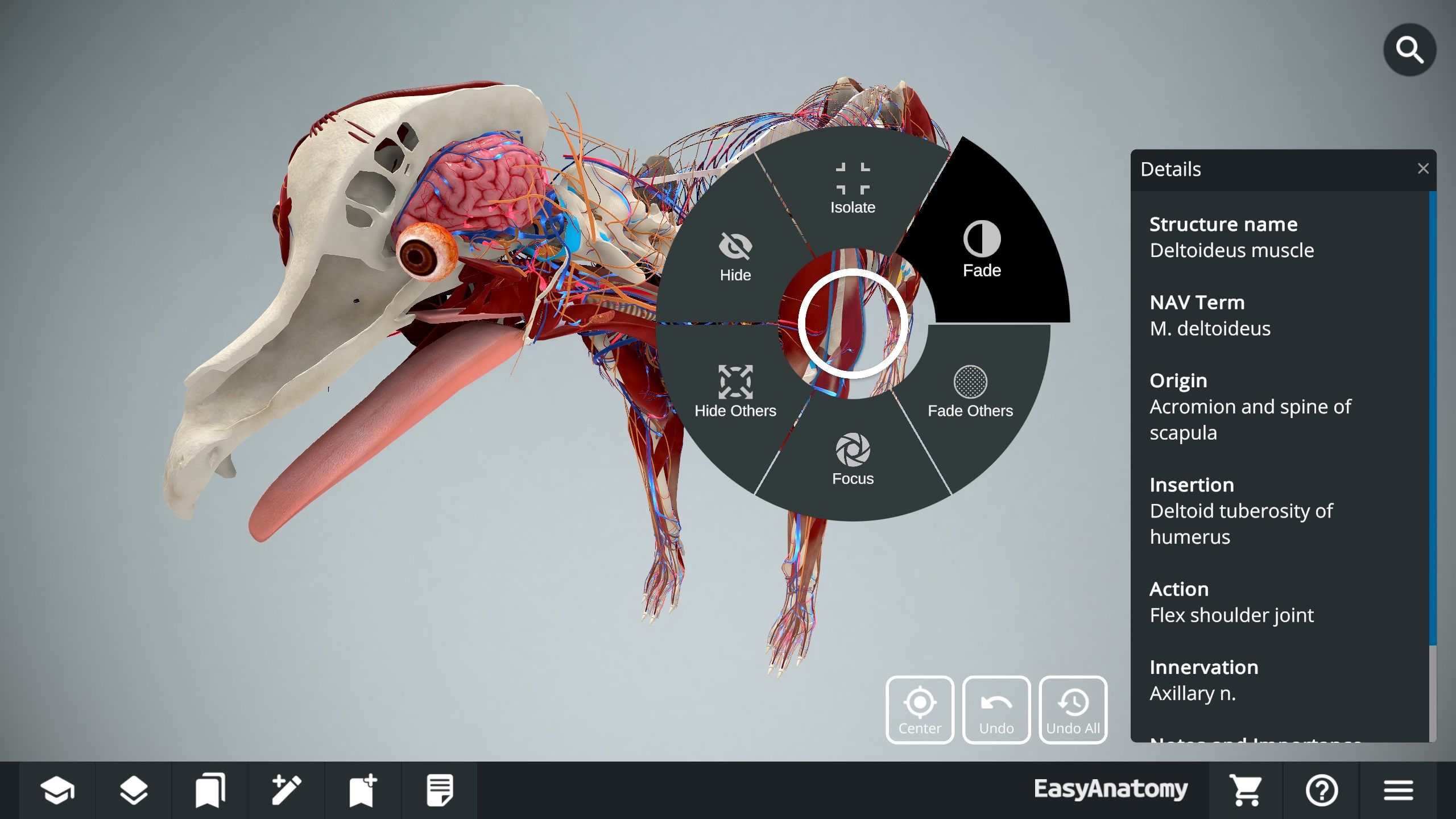 Peel away layers, hide and isolate individual components and regions, and make components transparent to see how they are positionally and functionally related with EasyAnatomy's virtual dissection radial menu.