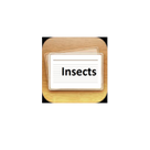 a0d35f Insects Flashcards Plus