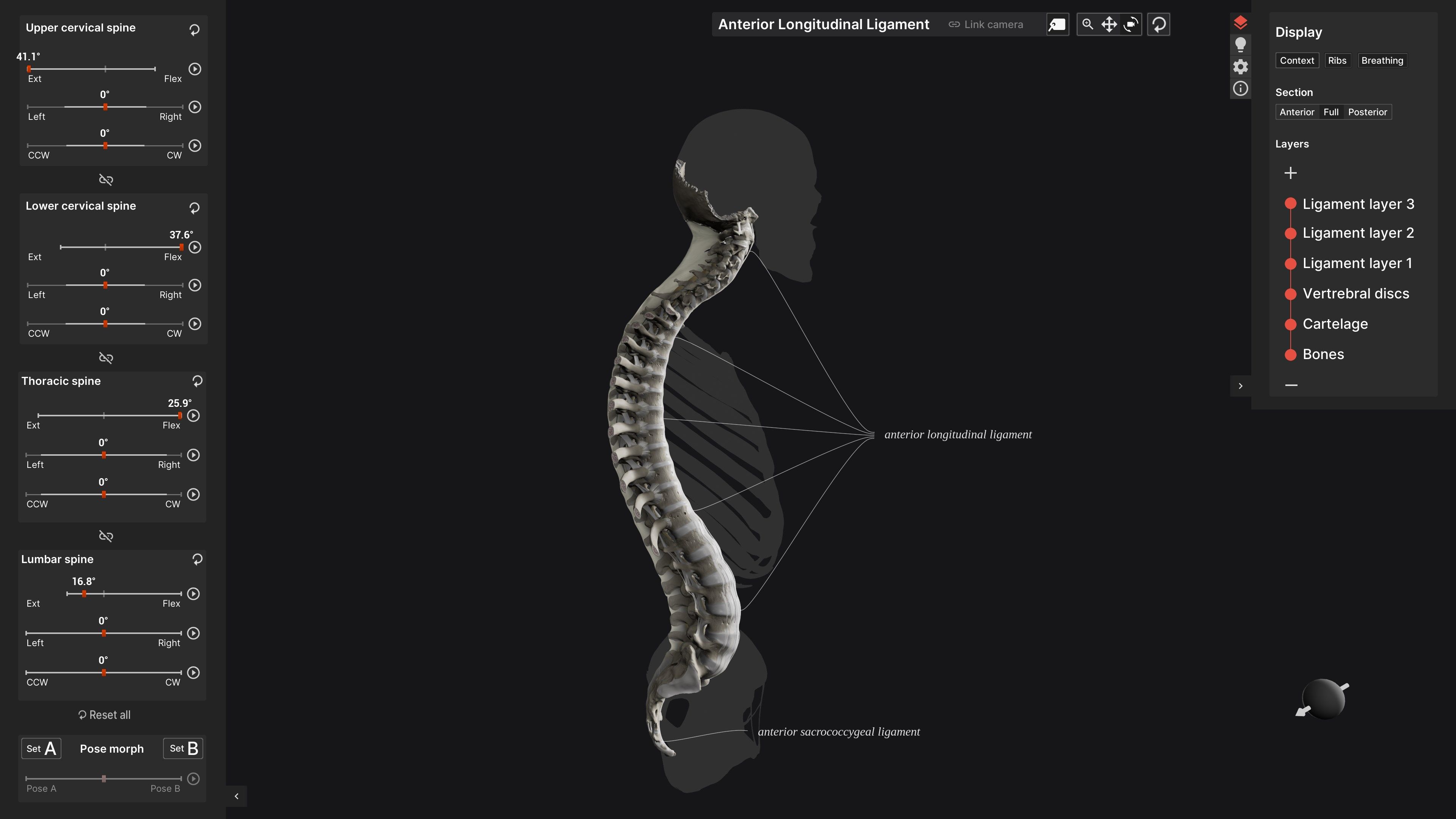 Biomechanics of the Spine