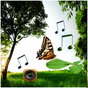 Sounds of Nature Lite