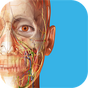Human Anatomy Atlas 2023: Complete 3D Human Body