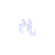 LSystem10