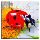 Insects and Bugs Puzzles for Kids - Fun and Educational HD Jigsaw Puzzles Game for Preschool or Kindergarten Toddlers, Boys and Girls Under Ages 2, 3, 4, 5 - Free Trial