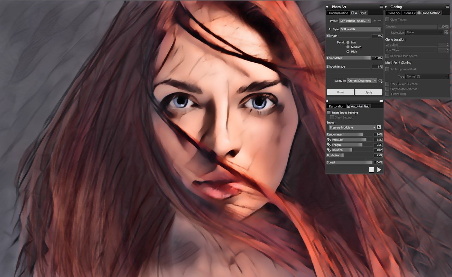 Photo Art Tools - From artificial intelligence based style transfer to complex cloning workflow, find all the tools to transform your images into paintings.