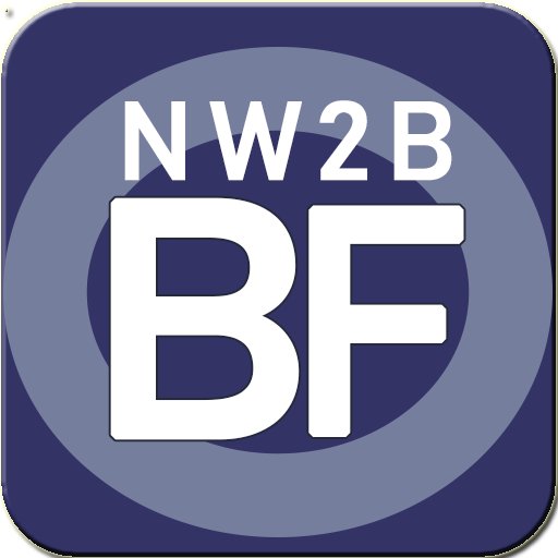 NetWorth2b Budget & Flow 2.0 - Premium Edition