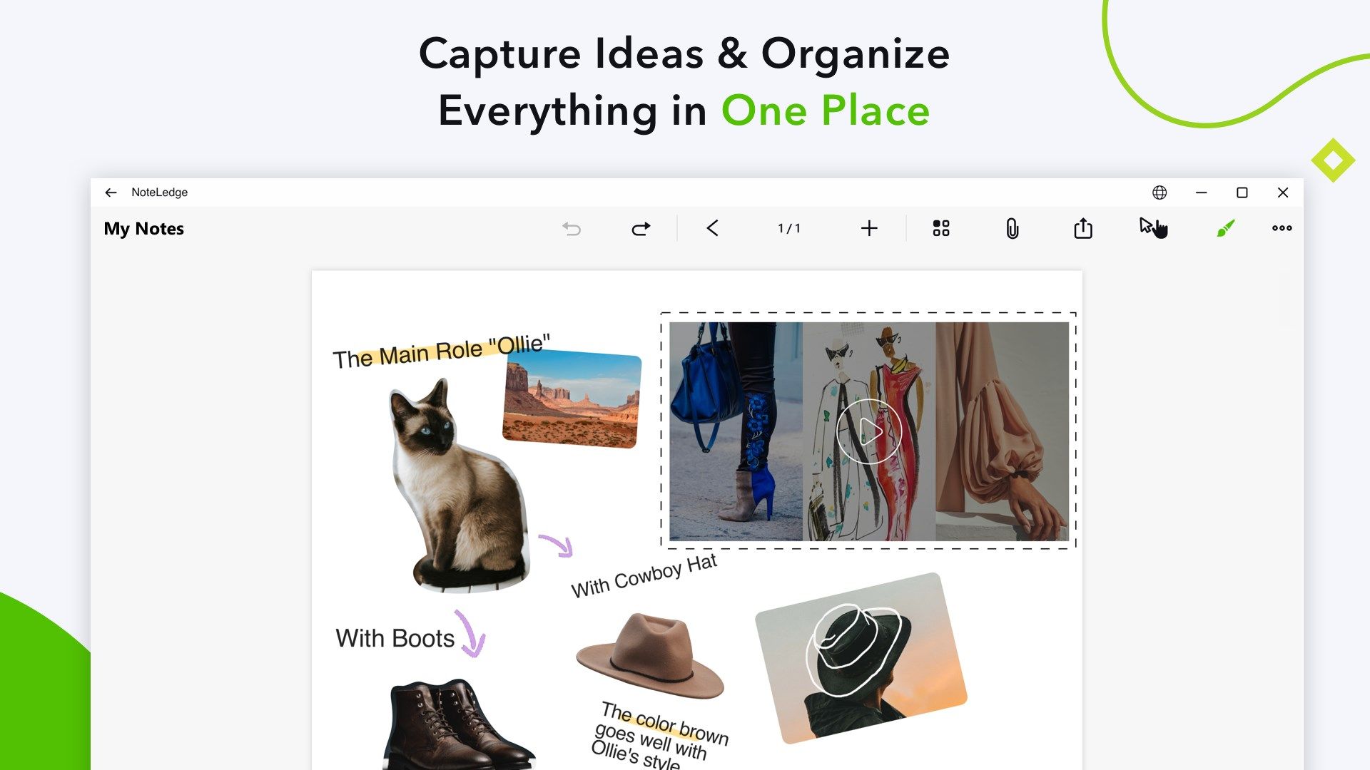 Capture Ideas & Organize Everything in One Place
