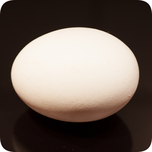Creamy Egg, boil breakfast egg