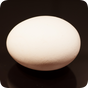 Creamy Egg, boil breakfast egg