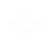 InsTsinghua