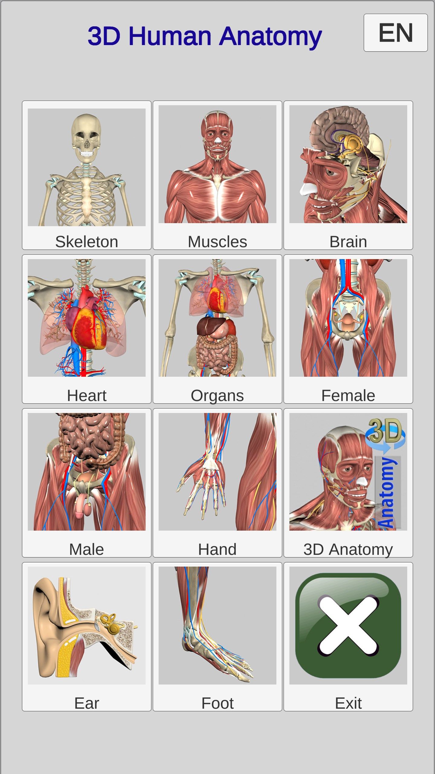 Learn 3D human anatomy