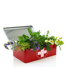 Herbal Remedy -العلاج بالأعشاب