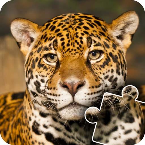 African Wild Life Animals Photo Jigsaw Puzzles - Educational and good brain practise for kids, toddlers and preschoolers