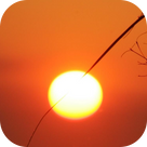 Beautiful Sunsets!!! Relax with Amazing Romantic Sunset Pictures of National Parks, Waterfalls, Flowers, Garden Pics, Sunset & Sunrise Riders Landscape, and Plants! Fun Free Wallpaper Design App for Kids & Adults!