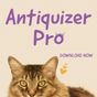 Antiquizer Pro