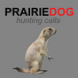 Prairie Dog Hunting Calls
