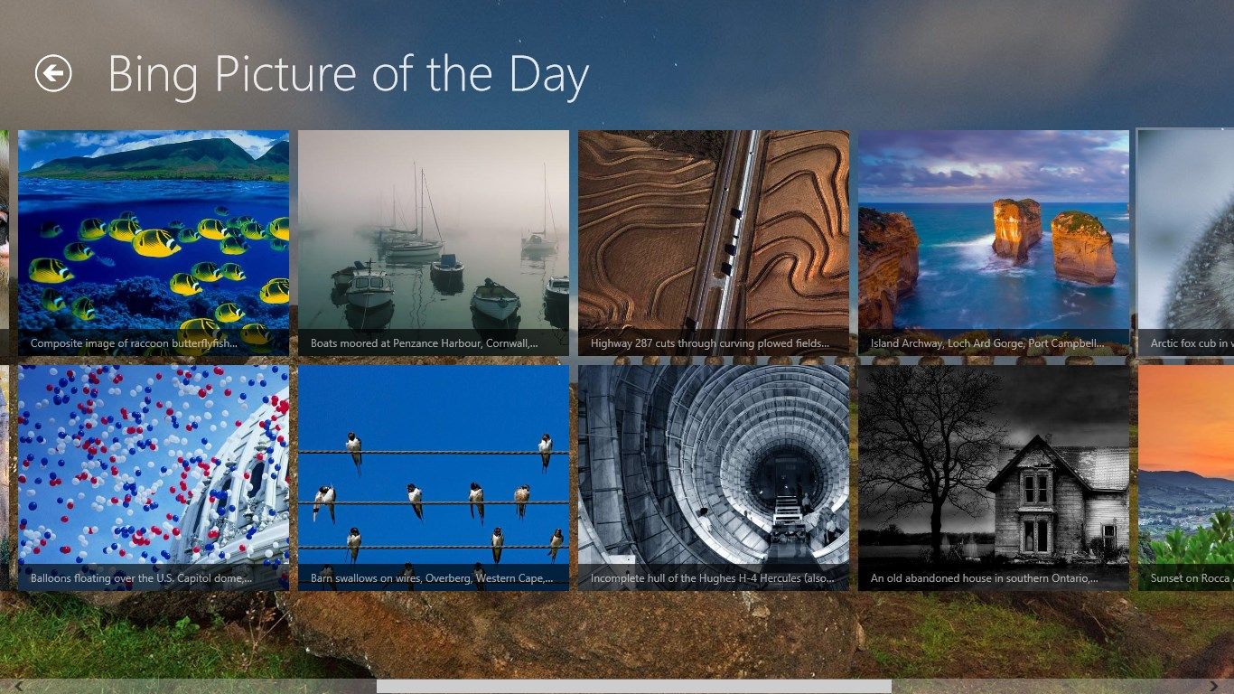 Bing homepage daily picture