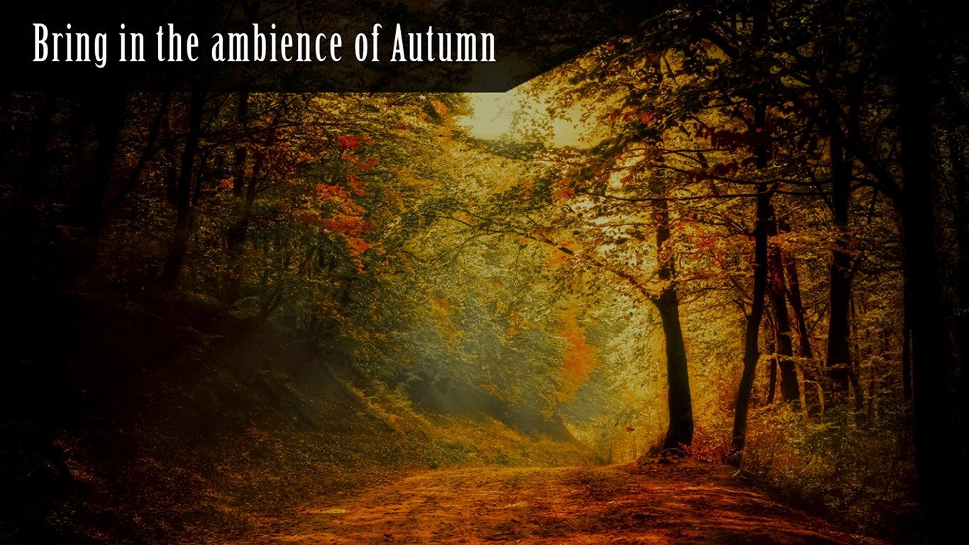 Autumn Ambience In HD