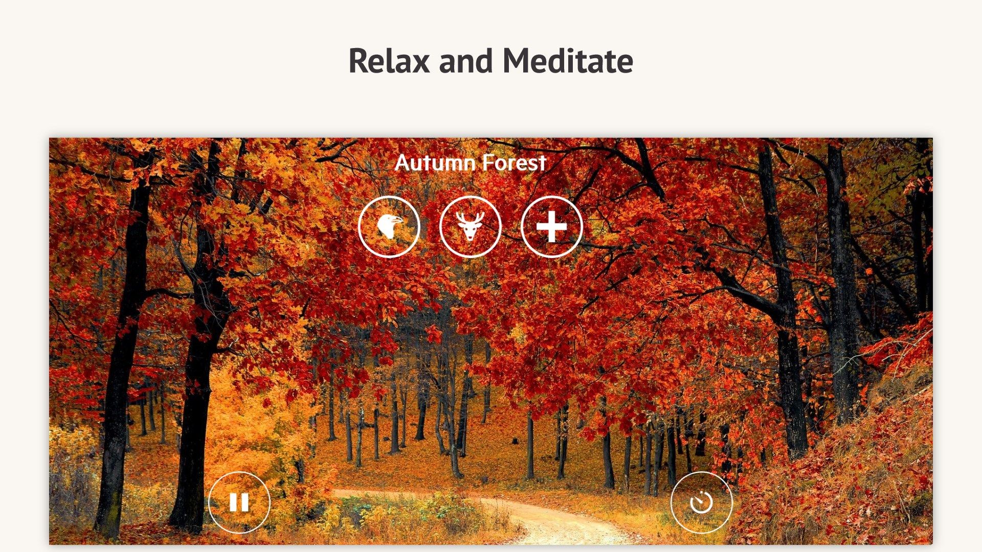 Relax Meditation Music