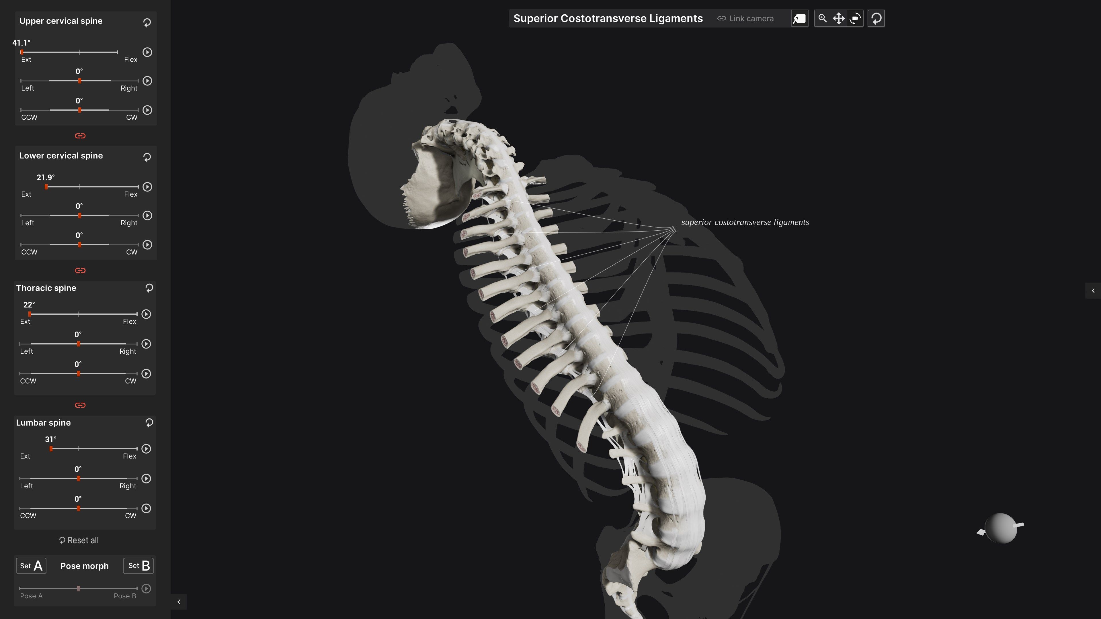 Biomechanics of the Spine
