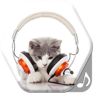 Cat Sounds and Ringtones