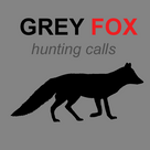 Gray Fox Hunting Calls & Predator Calls & Distress Calls - Fox Sounds
