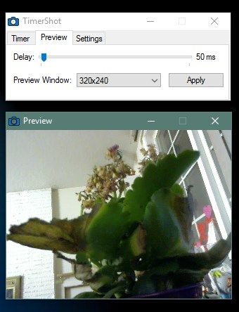 Preview settings and preview window.