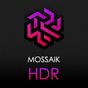 Mossaik XDR