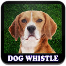 Dog Whistle - Trainer