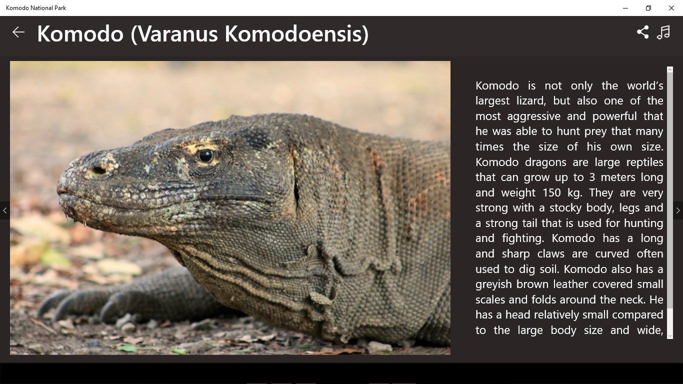 When you click menu of "Komodo Island", you will find the description and fact about the wonder of Komodo, the largest lizard in the world. Get the information from this place and explore this tourist area.