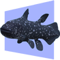 Desktop Coelacanth