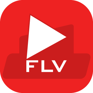 FLV to MP4 - FLV to