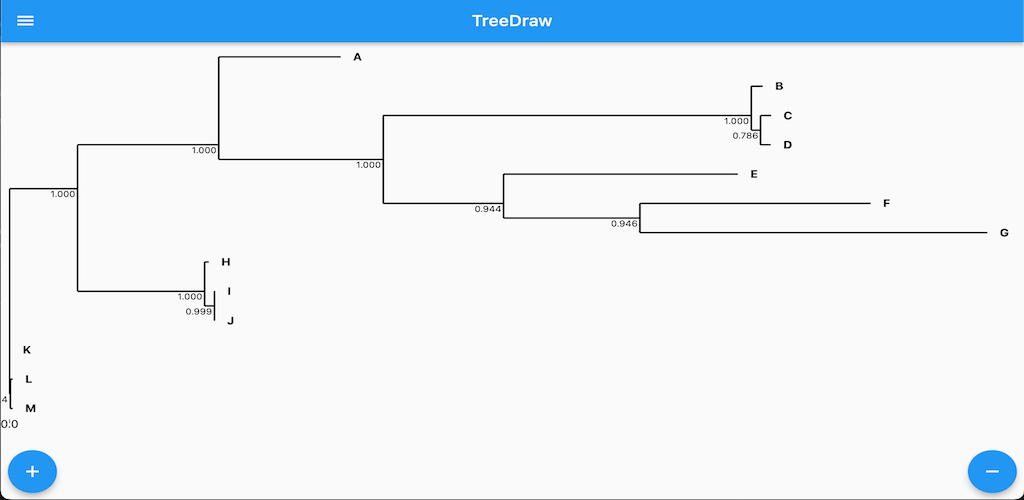 Phylogenetic Tree Draw