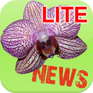 Orchid News Lite