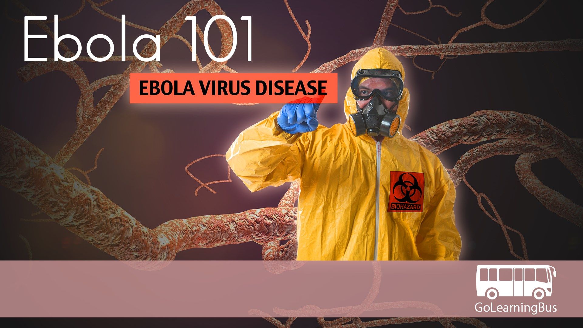 Ebola 101